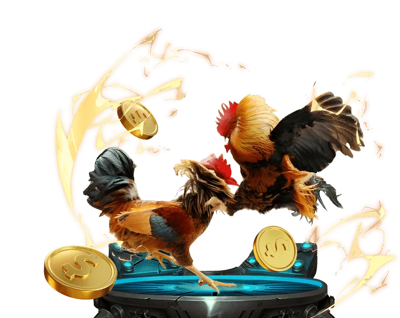 Mẹo cá cược đá gà